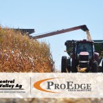 ProEdge2
