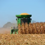 Harvest_Reznicek