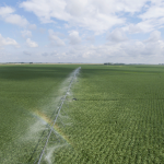 DJI_0027